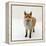 Red Fox Vixen Panting, UK-Jane Burton-Framed Premier Image Canvas