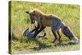 Stretched Canvas Print