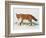 Red Fox (Vulpes Vulpes), Canidae, Drawing-null-Framed Giclee Print