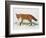 Red Fox (Vulpes Vulpes), Canidae, Drawing-null-Framed Giclee Print