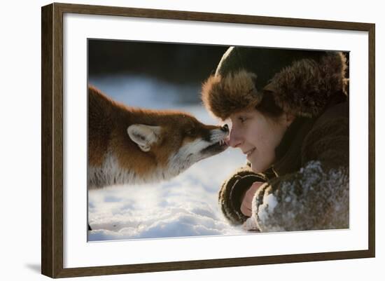 Red Fox (Vulpes Vulpes) Licking The Nose Of A Woman-Klaus Echle-Framed Photographic Print