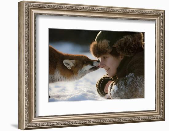 Red Fox (Vulpes Vulpes) Licking The Nose Of A Woman-Klaus Echle-Framed Photographic Print