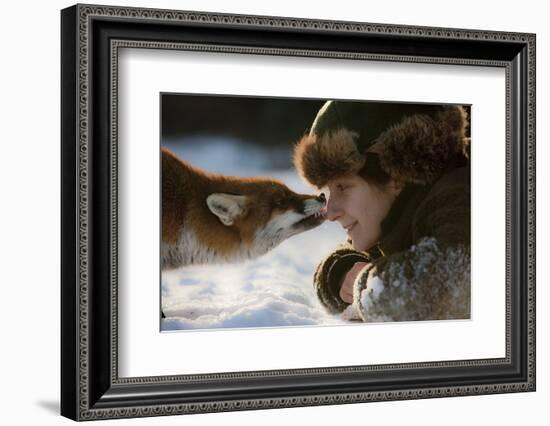 Red Fox (Vulpes Vulpes) Licking The Nose Of A Woman-Klaus Echle-Framed Photographic Print