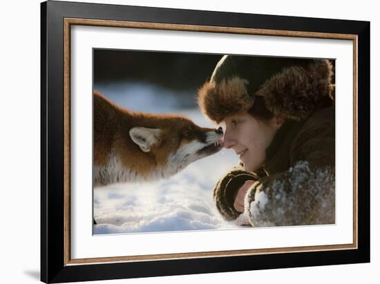 Red Fox (Vulpes Vulpes) Licking The Nose Of A Woman-Klaus Echle-Framed Photographic Print