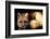 Red Fox Wildlife, New Mexico, USA-Gerry Reynolds-Framed Photographic Print