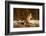 Red Fox-Joe McDonald-Framed Photographic Print