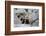 Red Fox-Reiner Bernhardt-Framed Photographic Print