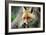 Red Fox-Reiner Bernhardt-Framed Photographic Print