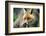 Red Fox-Reiner Bernhardt-Framed Photographic Print