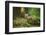 Red Fox-Milan Zygmunt-Framed Photographic Print