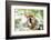 Red-Fronted Lemur (Eulemur Rufifrons), Isalo National Park, Ihorombe Region-Matthew Williams-Ellis-Framed Photographic Print