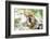 Red-Fronted Lemur (Eulemur Rufifrons), Isalo National Park, Ihorombe Region-Matthew Williams-Ellis-Framed Photographic Print