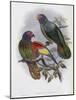 Red Fronted Lory-John Gould-Mounted Giclee Print