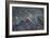 Red-Fronted Macaws, Ara Rubrogenys, in Flight Through Canyons in Torotoro National Park-Alex Saberi-Framed Photographic Print