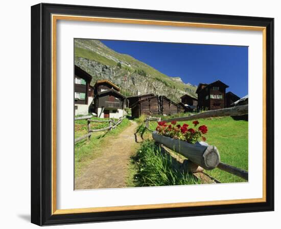 Red Geraniums Beside Path into Village, Zum See, Zermatt, Valais, Switzerland, Europe-Tomlinson Ruth-Framed Photographic Print