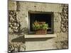 Red Geraniums on a window sill-null-Mounted Photographic Print