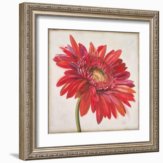 Red Gerber Daisy-Patricia Pinto-Framed Art Print