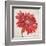 Red Gerber Daisy-Patricia Pinto-Framed Art Print