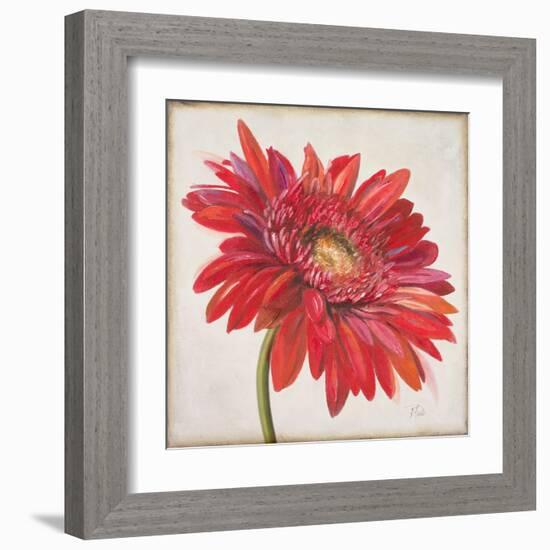 Red Gerber Daisy-Patricia Pinto-Framed Art Print