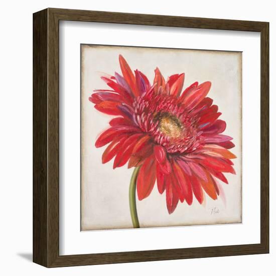 Red Gerber Daisy-Patricia Pinto-Framed Art Print