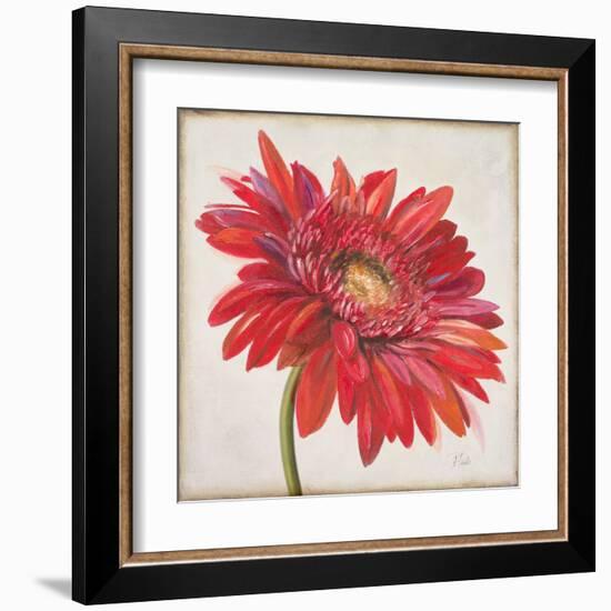 Red Gerber Daisy-Patricia Pinto-Framed Art Print