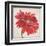 Red Gerber Daisy-Patricia Pinto-Framed Art Print