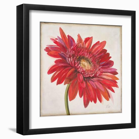 Red Gerber Daisy-Patricia Pinto-Framed Art Print