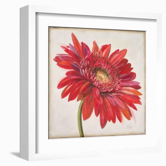 Red Gerber Daisy-Patricia Pinto-Framed Art Print