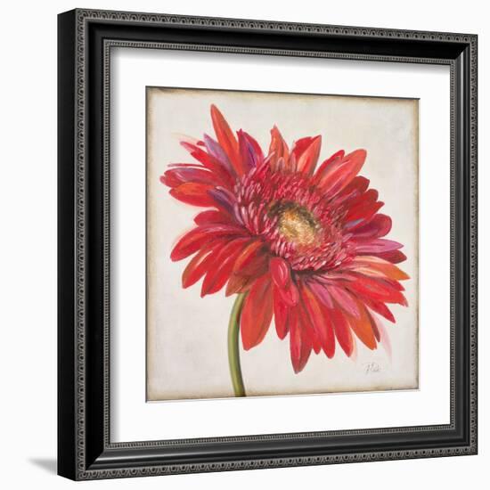 Red Gerber Daisy-Patricia Pinto-Framed Art Print