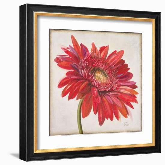 Red Gerber Daisy-Patricia Pinto-Framed Art Print