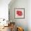 Red Gerber Daisy-Patricia Pinto-Framed Art Print displayed on a wall