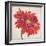 Red Gerber Daisy-Patricia Pinto-Framed Art Print