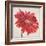 Red Gerber Daisy-Patricia Pinto-Framed Premium Giclee Print