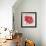 Red Gerber Daisy-Patricia Pinto-Framed Premium Giclee Print displayed on a wall