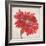 Red Gerber Daisy-Patricia Pinto-Framed Premium Giclee Print