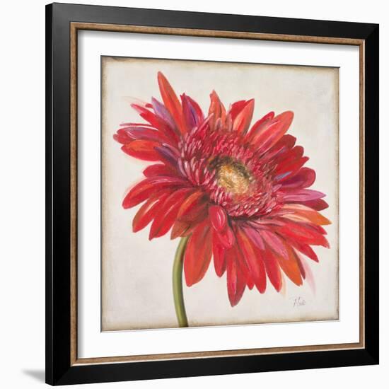 Red Gerber Daisy-Patricia Pinto-Framed Premium Giclee Print