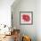 Red Gerber Daisy-Patricia Pinto-Framed Premium Giclee Print displayed on a wall