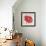 Red Gerber Daisy-Patricia Pinto-Framed Premium Giclee Print displayed on a wall