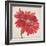 Red Gerber Daisy-Patricia Pinto-Framed Premium Giclee Print