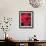 Red Gerbera Daisies I-Erin Berzel-Framed Photo displayed on a wall