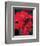 Red Gerbera Daisies I-Erin Berzel-Framed Photo