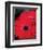 Red Gerbera Daisies II-Erin Berzel-Framed Photo