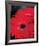 Red Gerbera Daisies II-Erin Berzel-Framed Photo