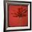 Red Gerbera on Red 07-Tom Quartermaine-Framed Giclee Print