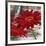 Red Gerberas II-Jenny Thomlinson-Framed Art Print