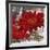 Red Gerberas II-Jenny Thomlinson-Framed Art Print