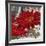 Red Gerberas II-Jenny Thomlinson-Framed Art Print