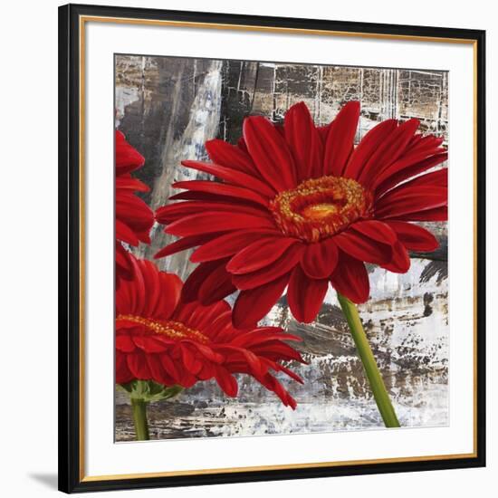 Red Gerberas II-Jenny Thomlinson-Framed Art Print