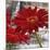 Red Gerberas II-Jenny Thomlinson-Mounted Art Print