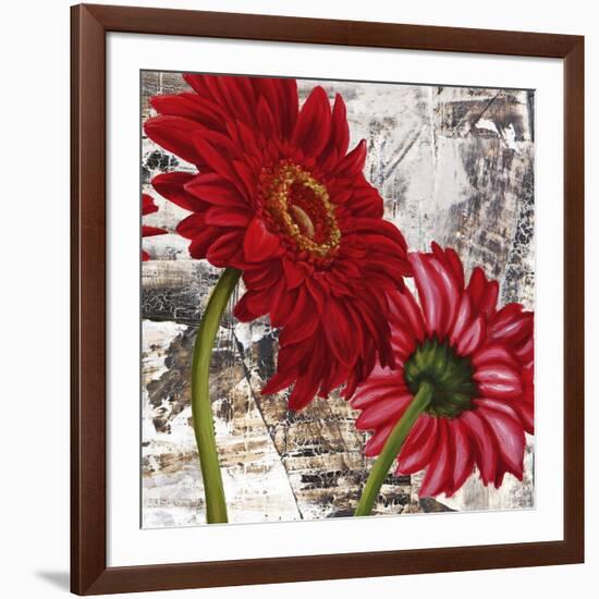 Red Gerberas III-Jenny Thomlinson-Framed Art Print